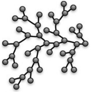 Branched Polymer