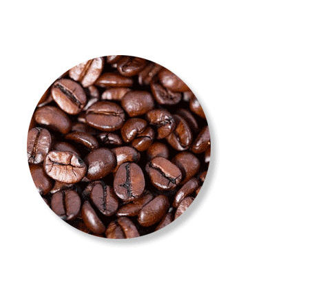 HIGHLIGHTS: Recent Publications in the Field of Natural Polymers