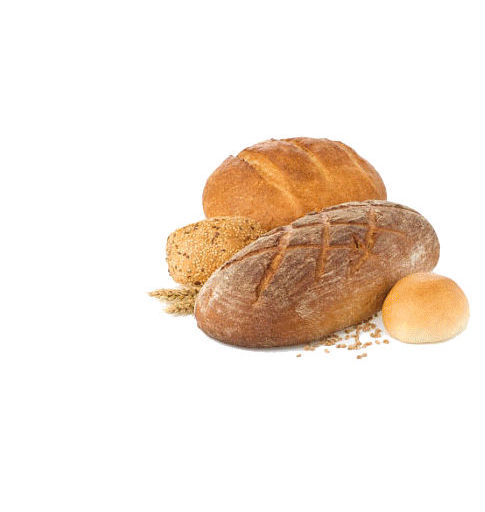 HIGHLIGHTS: Recent Publications in the Field of Natural Polymers