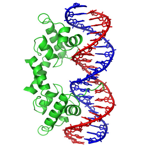 DNA characterization by light scattering