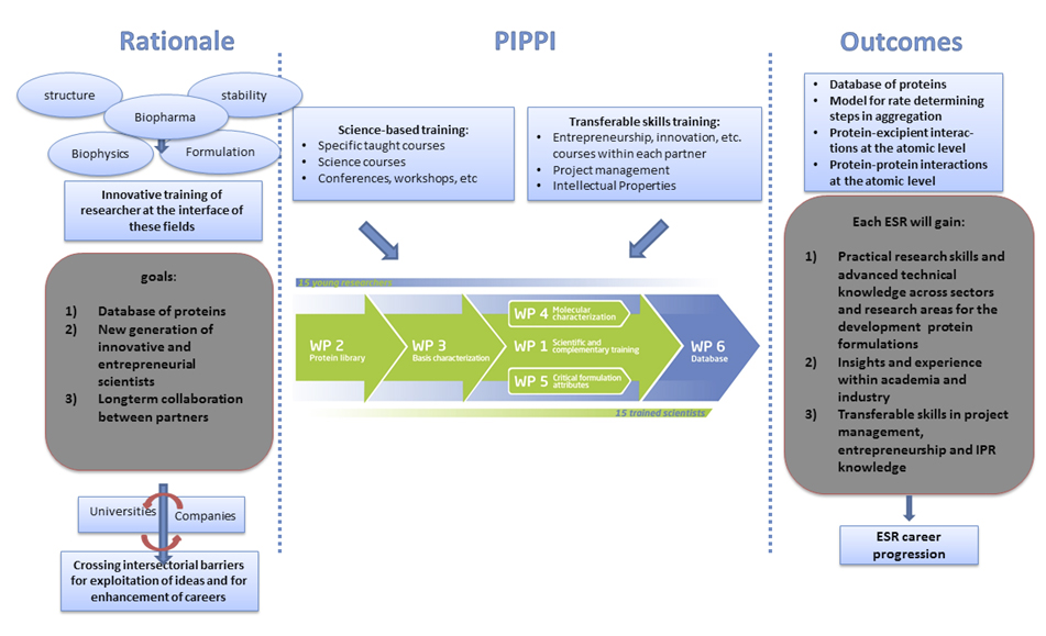 PIPPI Workflow