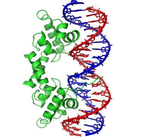 Binding Proteins