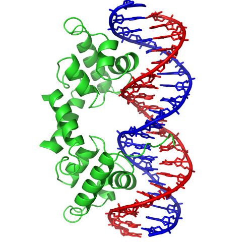 Binding Proteins