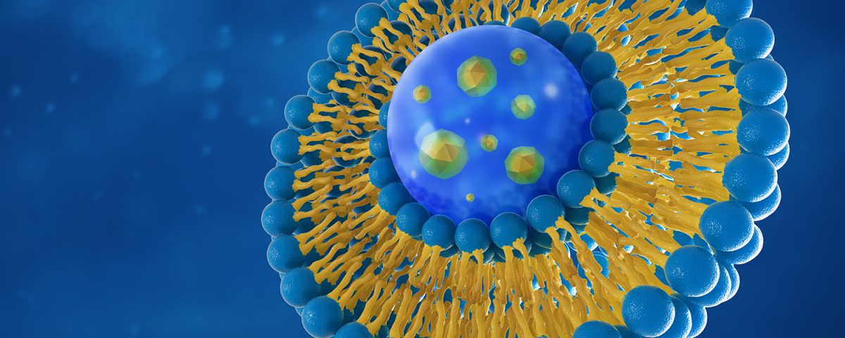 Lipid Characterization