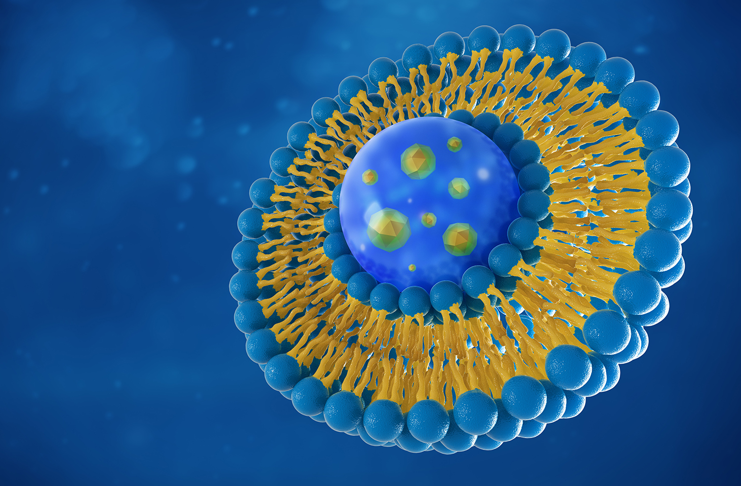 WP2608: Lipid Nanoparticle and Liposome Characterization with FFF-MALS-DLS