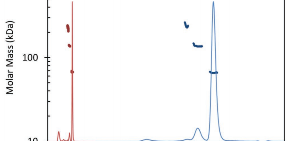Absolute Molar Mass UHPLC
