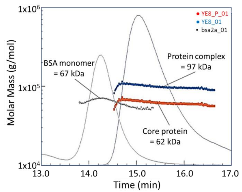 Protein Lipid