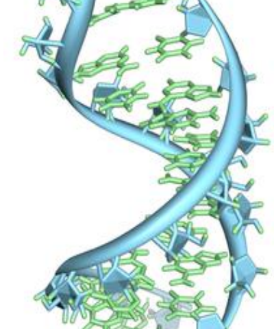 Characterizing mRNA