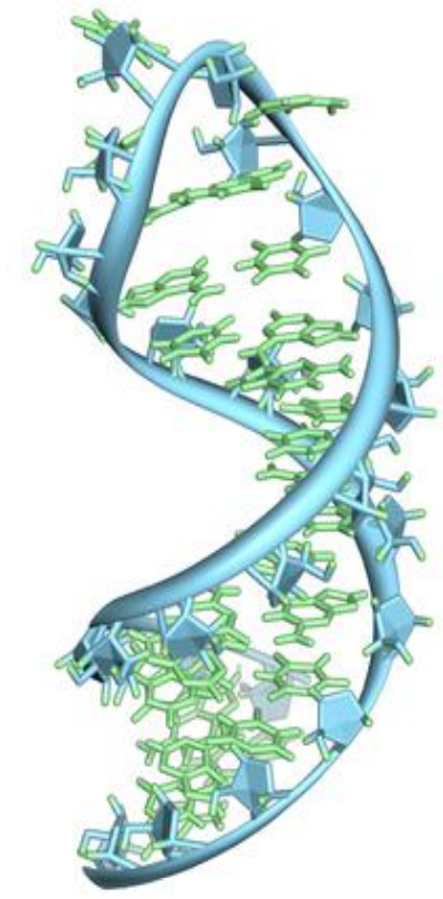 AN1616: SEC-MALS method for characterizing mRNA