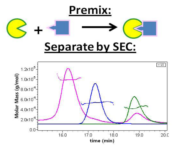 Competitive Binding Antithrombin