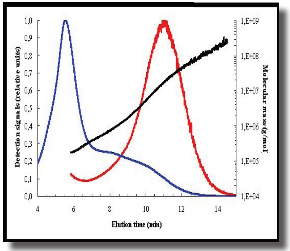 Glutenin Protein Polymers