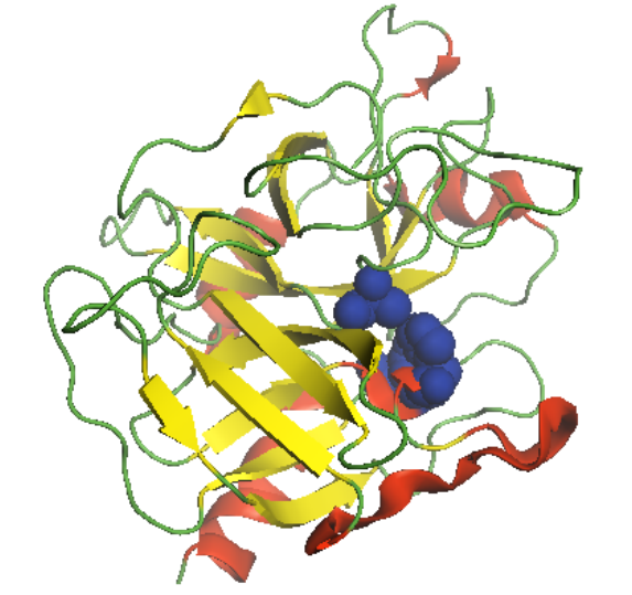Binding of Thrombin-α and an Anti-Thrombin Antibody