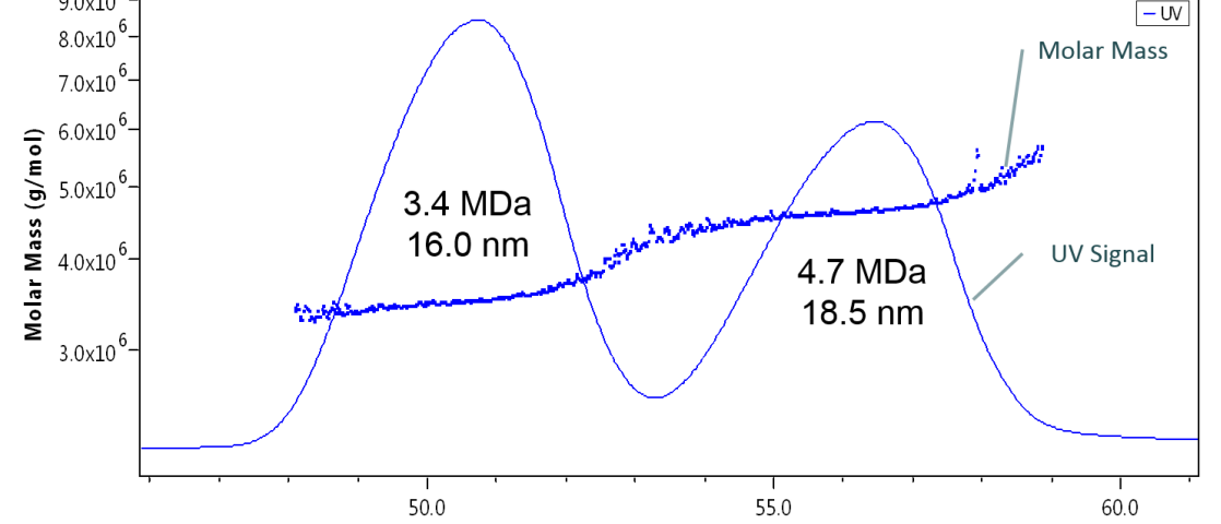 Characterize VLPs