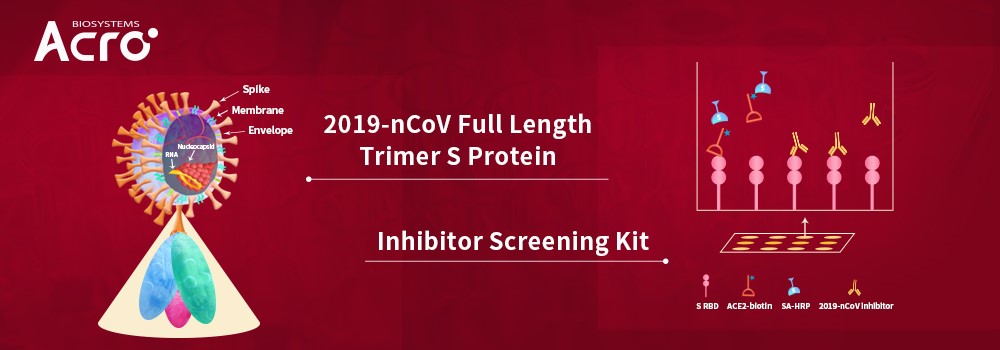 SEC-MALS in the service of 2019-nCoV therapeutics