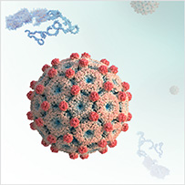 Vaccine-Virus-VLP-203