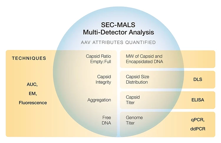 SEC-MALS delivers multiple AAV CQAs in a run.